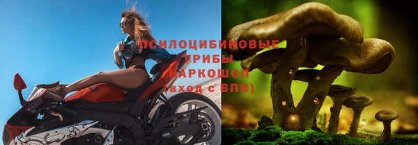 каннабис Беломорск