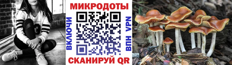 купить  цена  shop Telegram  Галлюциногенные грибы мицелий  Балей 